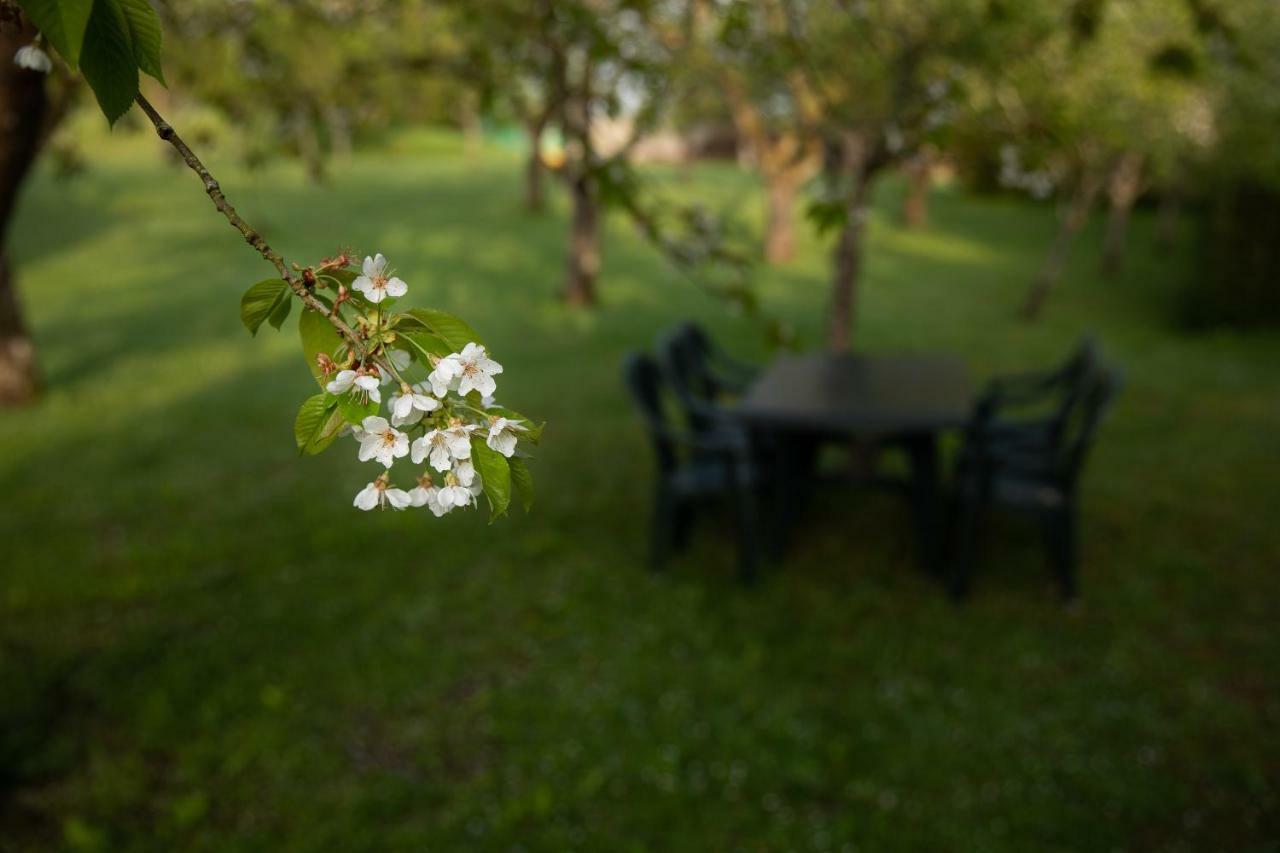Gite Mattaincourt ภายนอก รูปภาพ
